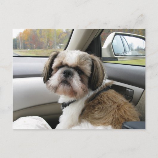 Ongeduldige passagier briefkaart (Voorkant)