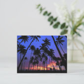 Ongeëvenaard design Florida voelt aan Briefkaart (Staand voorkant)