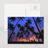 Ongeëvenaard design Florida voelt aan Briefkaart (Voorkant / Achterkant)