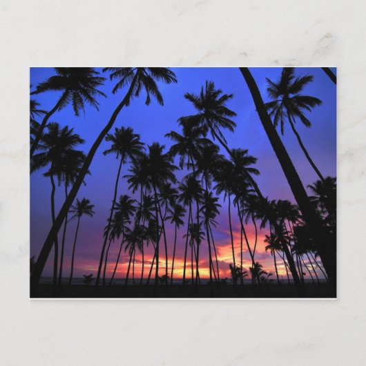 Ongeëvenaard design Florida voelt aan Briefkaart (Voorkant)