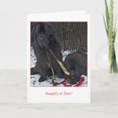 Ongehoorzaam of Nice? Feestdagen Kaart (Voorkant)