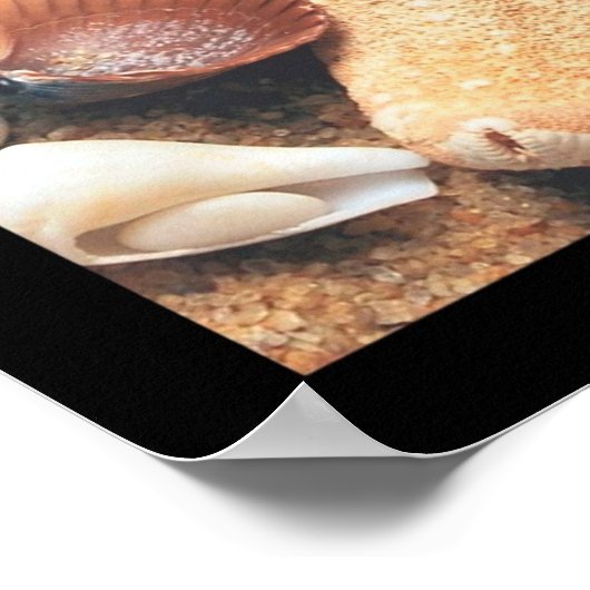 "Ongelofelijk" Positief Poster voor wandkunst (Hoek)