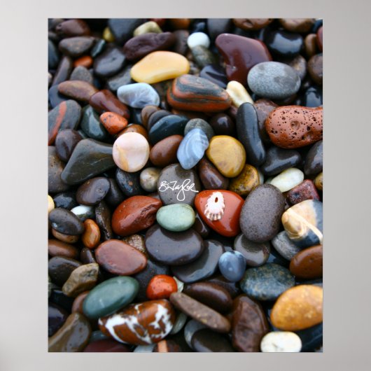 Ongelofelijk strand poster (Voorkant)