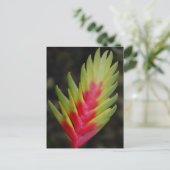 Ongelofelijk tropisch exotisch plant briefkaart (Staand voorkant)
