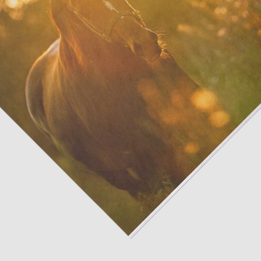 Ongelofelijk verbluffend paard Bathed in zonlicht Tissuepapier (Detail)