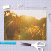 Ongelofelijk verbluffend paard Bathed in zonlicht Tissuepapier (Craft)