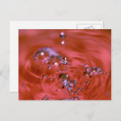 Ongelofelijk water briefkaart (Voorkant / Achterkant)