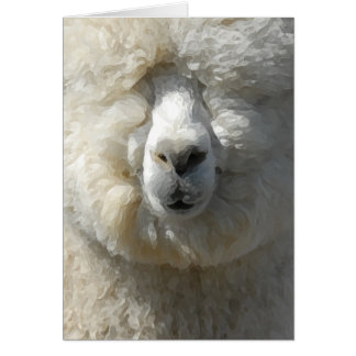 Ongelofelijke Gandalf de alpaca