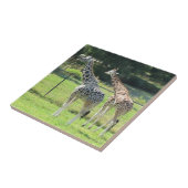 Ongelofelijke Giraffes Tegeltje (Zijkant)