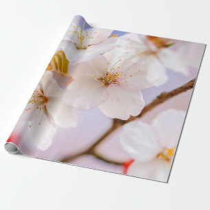 Ongelofelijke schoonheid van Sakura Flowers Cadeaupapier