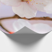 Ongelofelijke schoonheid van Sakura Flowers Cadeaupapier (Hoek)