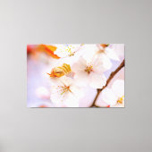 Ongelofelijke schoonheid van Sakura Flowers in het Canvas Afdruk (Voorkant)