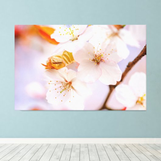 Ongelofelijke schoonheid van Sakura Flowers in het Canvas Afdruk (Insitu (Houten vloer))