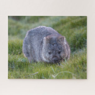 Ongelofelijke weddenschap in Grass Australia, 520  Legpuzzel