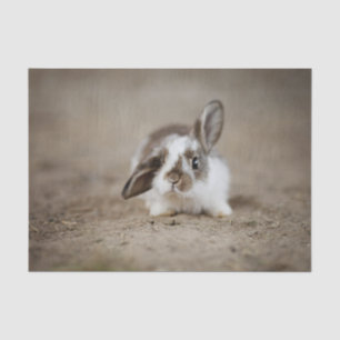 Ongelooflijk een bunny konijn met verhoogd oor tissuepapier