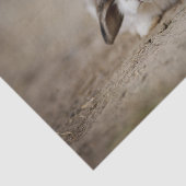 Ongelooflijk een bunny konijn met verhoogd oor tissuepapier (Detail)