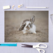 Ongelooflijk een bunny konijn met verhoogd oor tissuepapier (Craft)