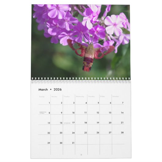 Ongelooflijk Insectiesalender Kalender (Mar 2026)