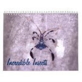Ongelooflijk Insectiesalender Kalender (Hoes)