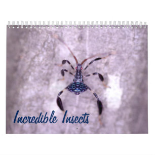 Ongelooflijk Insectiesalender Kalender