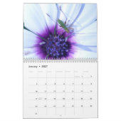 Ongelooflijk Insectiesalender Kalender (Jan 2027)