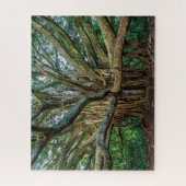 Ongelooflijke Banyan-boom Legpuzzel (Verticaal)