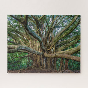 Ongelooflijke Banyan-boom Legpuzzel