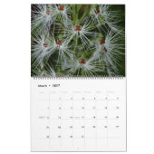 Ongelooflijke Orchideeënkalender Kalender (Mar 2027)