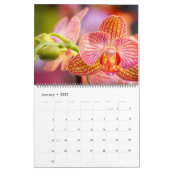 Ongelooflijke Orchideeënkalender Kalender (Jan 2027)