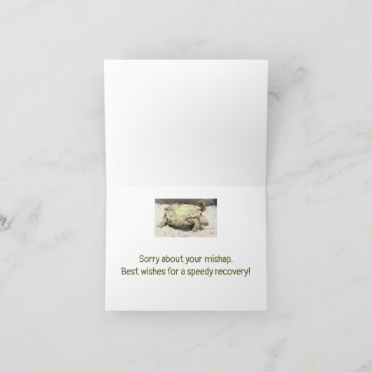 ONGELUK HUMOR/SCHILDPAD OP ZIJN RUG GEDRAAID KAART (Binnen)