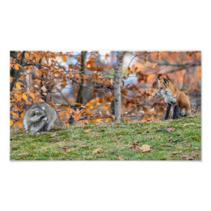 ongemakkelijke ontmoeting foto afdruk