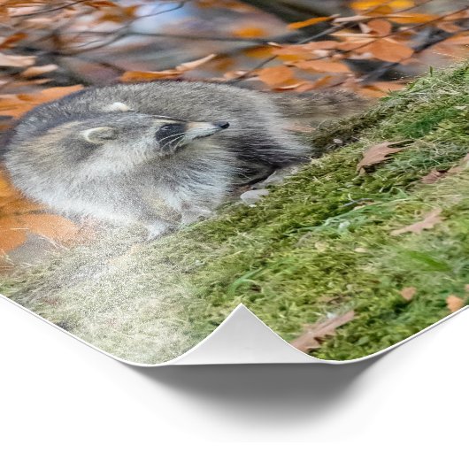 ongemakkelijke ontmoeting foto afdruk (Hoek)