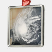 Ongenoemde tropische cycloon metalen ornament (Links)
