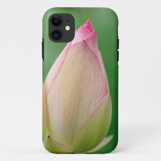 Ongeoende Waterleliebol, Durban Botanical Case-Mate iPhone Case (Achterkant)