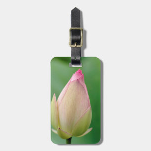 Ongeopende Waterlelieknol, Botanische tuin van Dur Bagagelabel