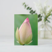Ongeopende waterLily Bulb, Durban Botanical Briefkaart (Staand voorkant)
