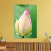 Ongeopende waterLily Bulb, Durban Botanical Canvas Afdruk (Insitu (Woonkamer))