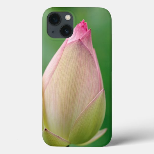 Ongeopende waterLily Bulb, Durban Botanical Case-Mate iPhone Case (Achterkant)