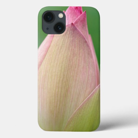 Ongeopende waterLily Bulb, Durban Botanical Case-Mate iPhone Case (Achterkant)