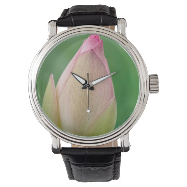 Ongeopende waterLily Bulb, Durban Botanical Horloge (Voorkant)