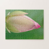 Ongeopende waterLily Bulb, Durban Botanical Legpuzzel (Horizontaal)