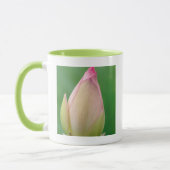 Ongeopende waterLily Bulb, Durban Botanical Mok (Links)