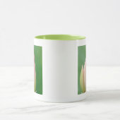 Ongeopende waterLily Bulb, Durban Botanical Mok (Midden)