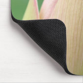 Ongeopende waterLily Bulb, Durban Botanical Muismat (Hoek)