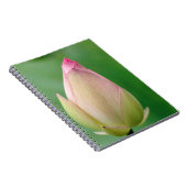 Ongeopende waterLily Bulb, Durban Botanical Notitieboek (Rechterzijde)