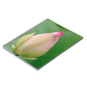 Ongeopende waterLily Bulb, Durban Botanical Notitieboek (Linkerzijde)