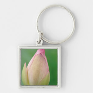 Ongeopende waterLily Bulb, Durban Botanical Sleutelhanger