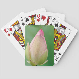 Ongeopende waterLily Bulb, Durban Botanical Speelkaarten