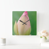 Ongeopende waterLily Bulb, Durban Botanical Vierkante Klok (Huis)