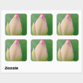Ongeopende waterLily Bulb, Durban Botanical Vierkante Sticker (Vel)